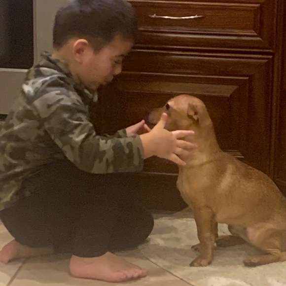 Meet your Posher, Joseph - Picture 1 of 1